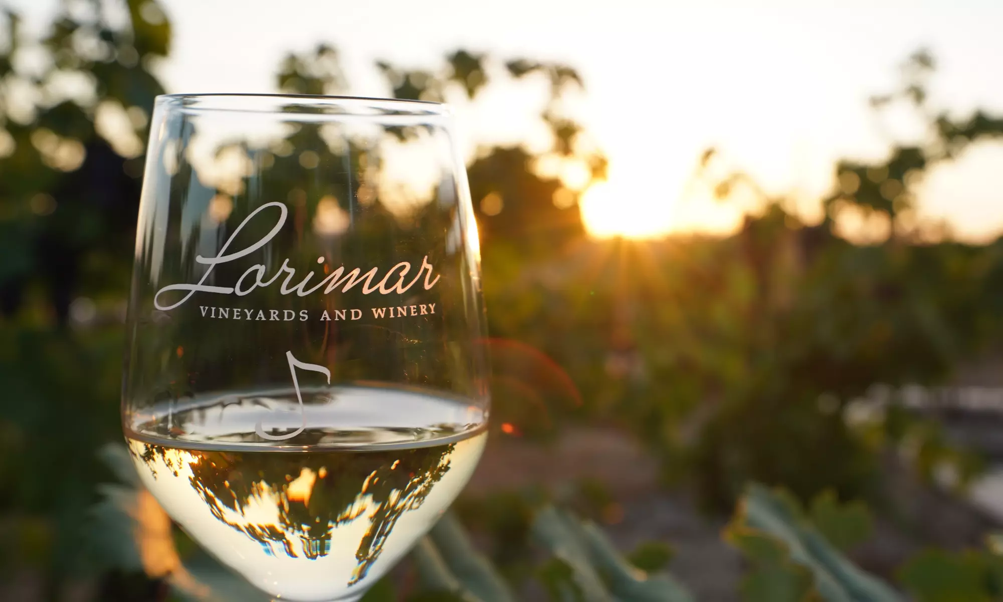 50% Off Wine Tasting or Wine + Charcuterie at Lorimar Vineyards
