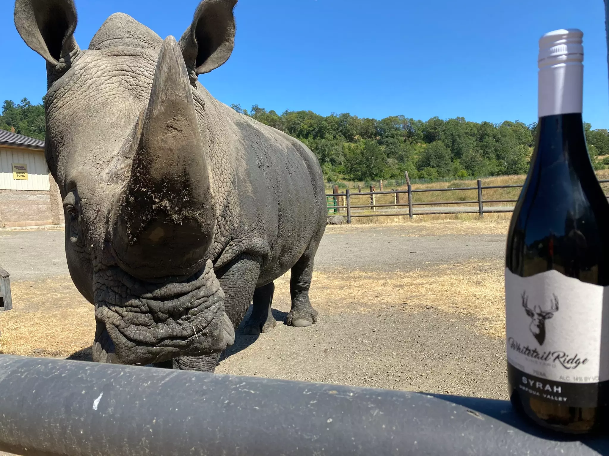 One Sippin' Safari Admission Ticket to Wildlife Safari  - Primary Image