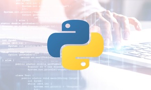 Python Programming Online Course