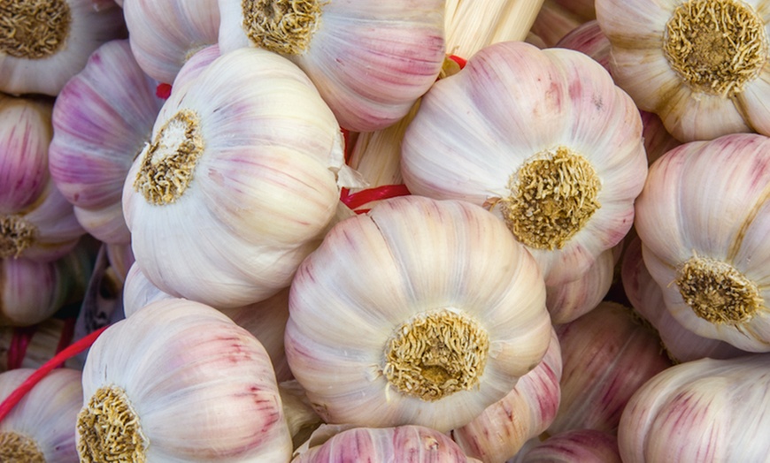 Image 2: Onion and Garlic Bulb Collection