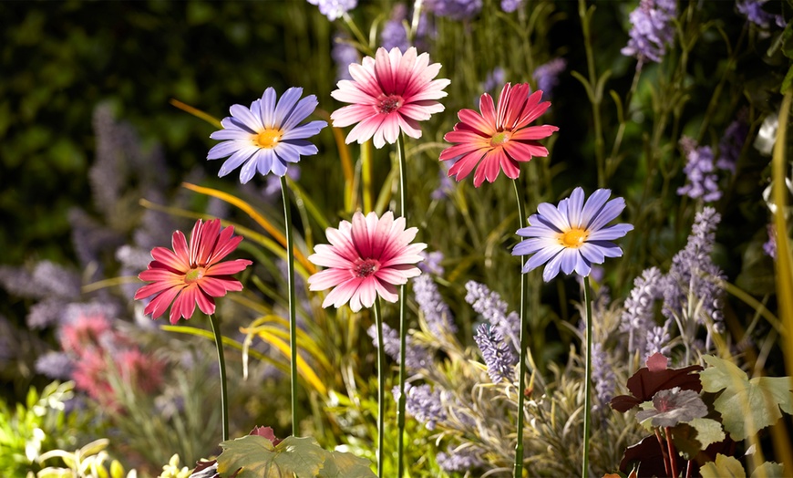 Image 3: 6 or 12 Metal Daisy Stakes 