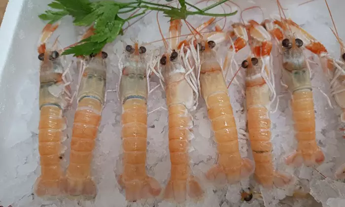 Saborea marisco fresco acompañado de una botella de vino blanco para 2