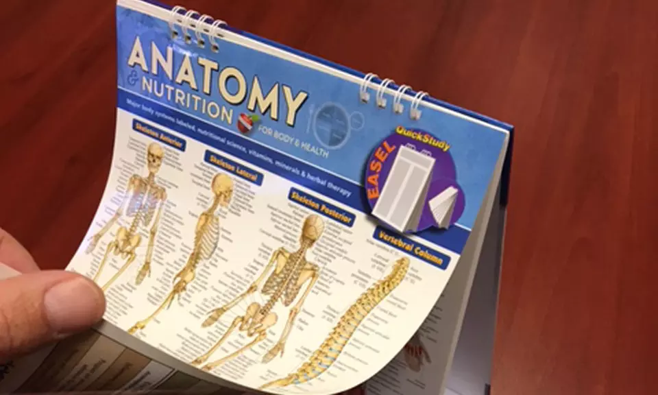 QuickStudy Anatomy Desk Reference with Stand - Second Medium