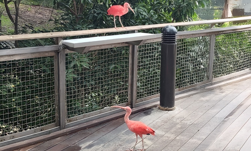 Image 18: Member-Only Deal: Coastal Galveston Resort, includes Value Pass
