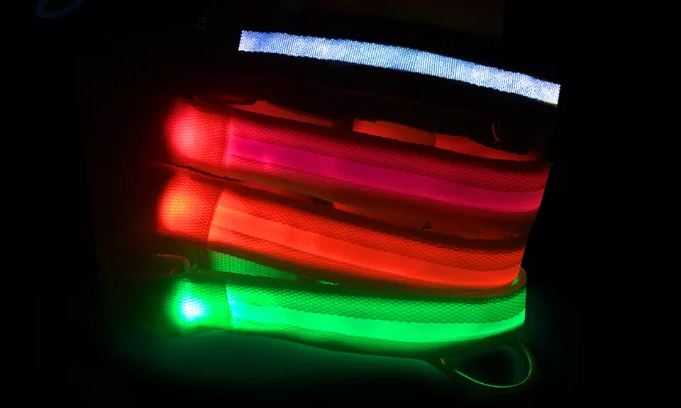 AKC Adjustable LED Dog Collar - Primary Image