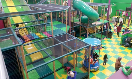 The Funky Monkey Fun Park in - Surrey, BC, CA | Groupon