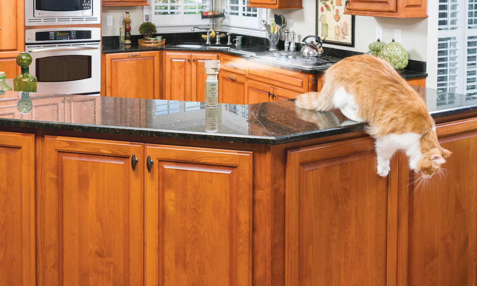 PetSafe SSSCat Spray Deterrent - Primary Image