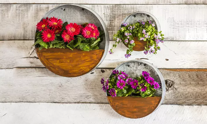 Galvanized Wall Planters (Choice of 8", 12", and 15" Options) - Primary Image