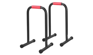 Set of Two Powertrain Dip Racks