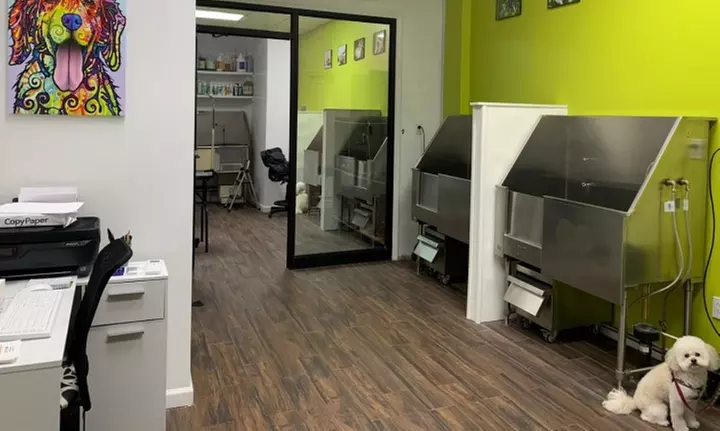 Up to 60% Off at Dog Planet Grooming & Daycare - Primary Image