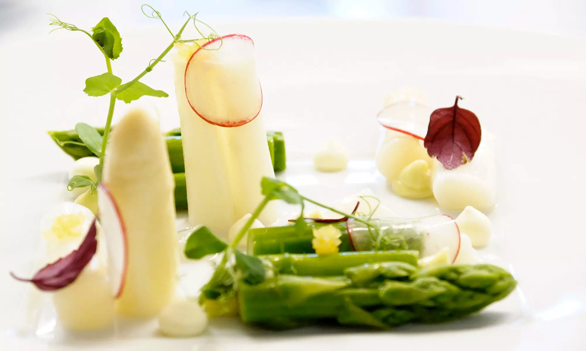 6- oder 8-Gänge-Überraschungsmenü für 1 - 2 Personen