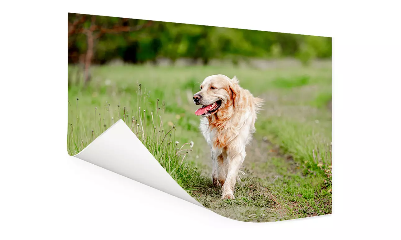 Fotoposter in formaat naar keuze