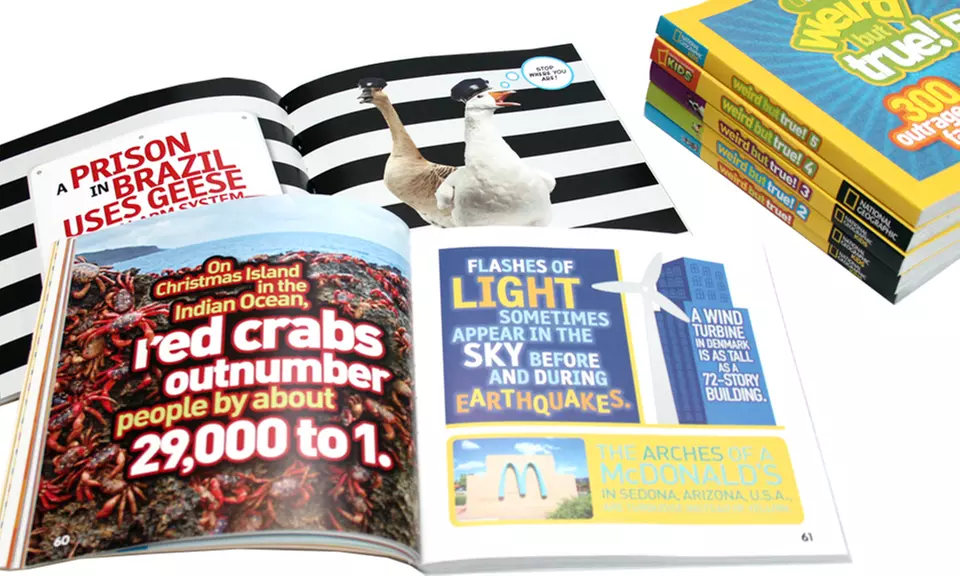 Weird But True Books (Set of 7) - Second Medium