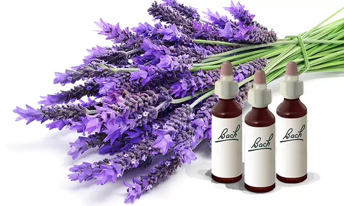 Formation de conseiller en fleurs de Bach avec E-Coach Academy, jusqu'à 88% de réduction - Primary Image