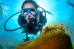 Cairns: One Child or One Adult for a Introductory SCUBA Dive with Down Under Cruise and Dive - Second Medium
