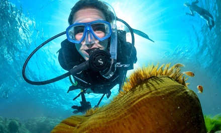 1x Child (12-16 years) - 1 Dive - Down Under Cruise and Dive