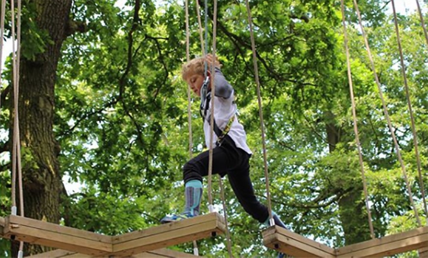 Image 5: High Rope Experiences for Two