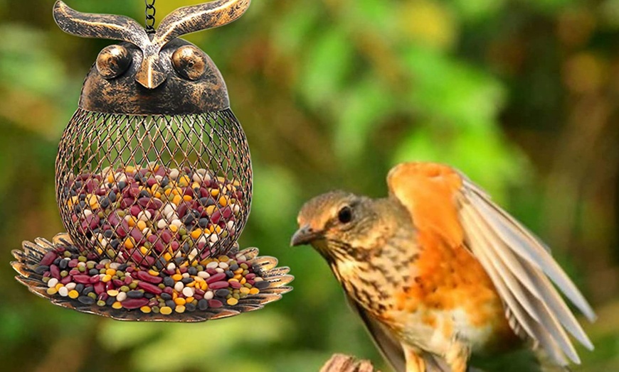 Image 1: Owl-Shaped Bird Feeder