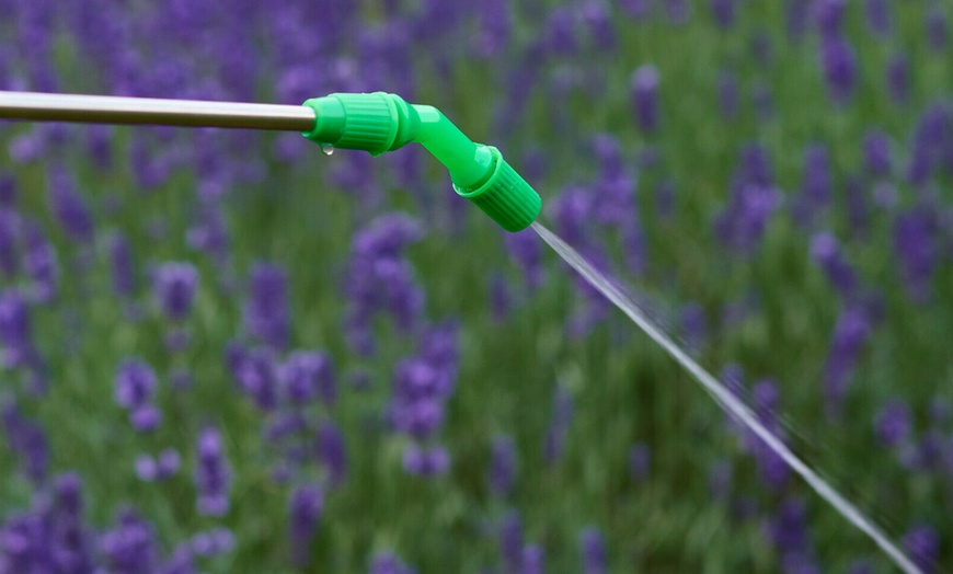 Image 5: 10-Litre Pressure Sprayer