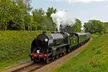 Step Aboard the Bluebell Railway for 1-4: Steam-Powered Journeys Through History (Up to 36% Off) - Image 6