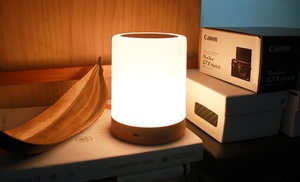 Colour-Changing Touch LED Night Light from Fancycustomize