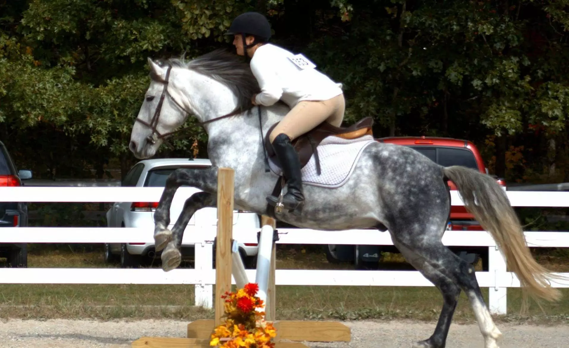 30- or 60-Minute Horseback Riding Lessons for One or Two at Country Sister's Stables, LLC (Up to 48% Off) - Primary Image