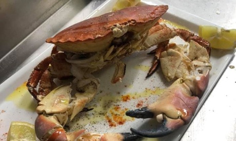 ⏰ Menu di mare con vino, 3 o 4 portate, al Ristorante Pizzeria Pier Lukè (sconto fino a 65%) Prenota&Vai!