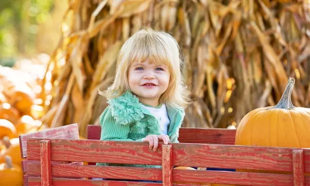 Pumpkin Picking at Apple Ridge Orchards ( Up to 38% Off) - Primary Image