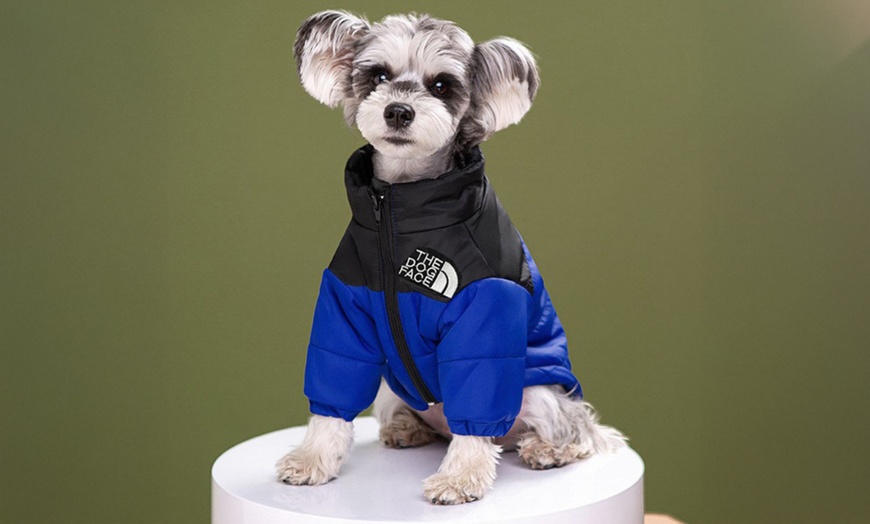 Image 4: Comfortable Winter Pet Jacket