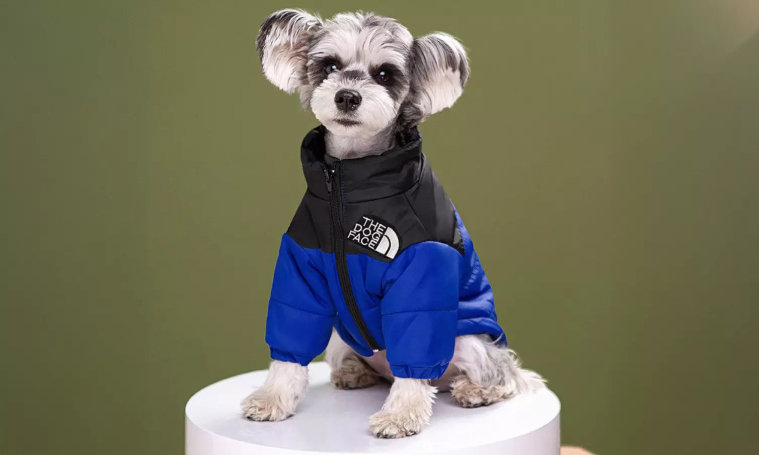 Comfortable Winter Pet Jacket