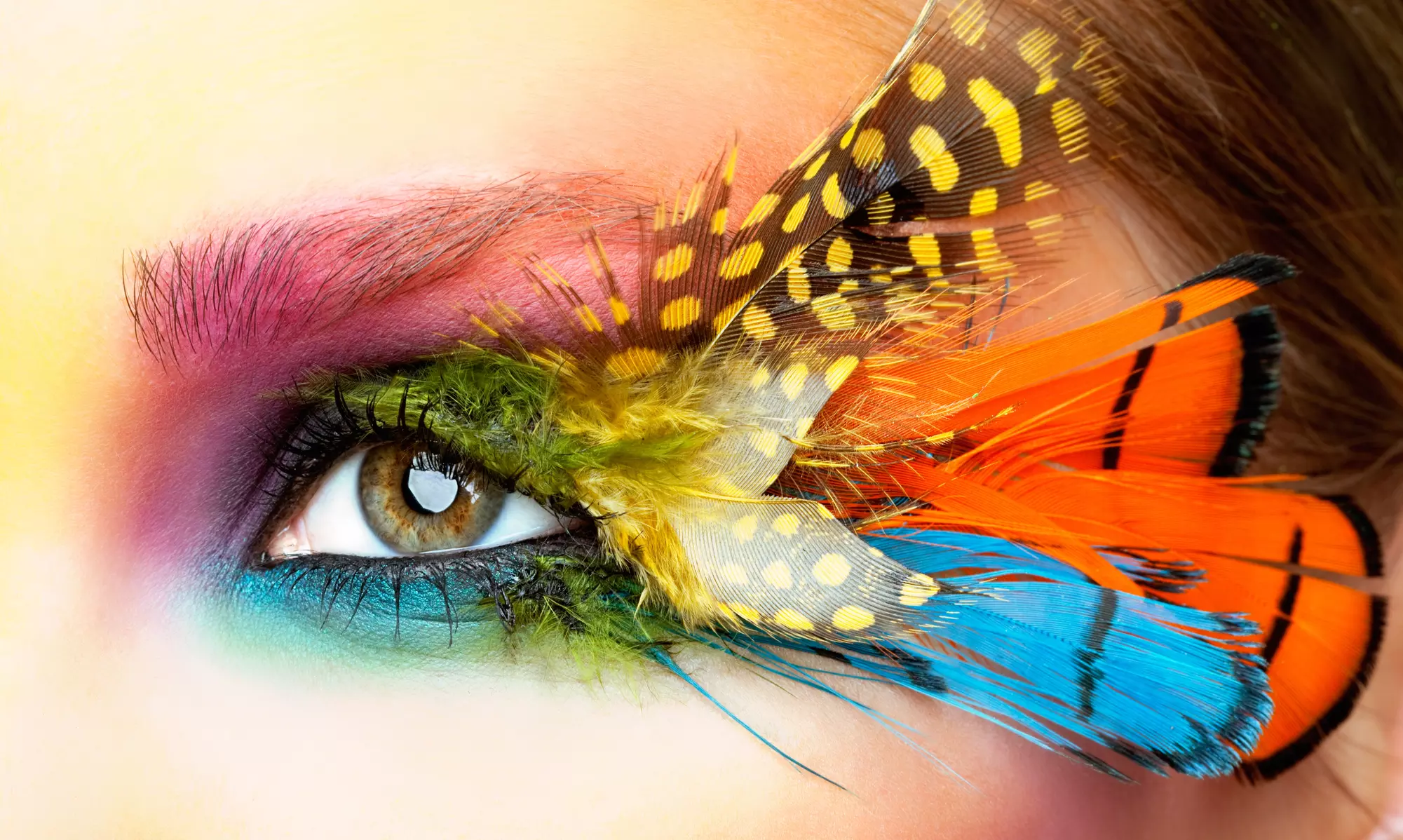 Classic Eyelash Extensions with an Optional Two-Week Touchup at Butterfly Kiss Eyelash Studio (Up to 34% Off) - Primary Image
