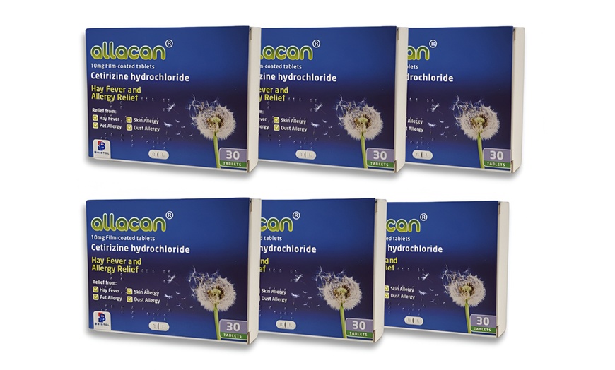 Image 2: Allacan Cetirizine Hydrochloride Tablets up to 12 months Supply 