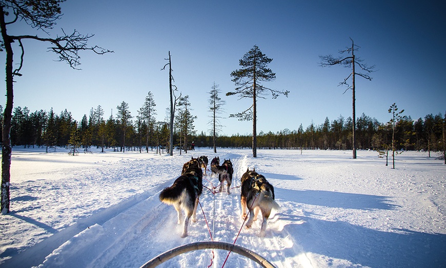 Image 4: ✈ Lapland: 7-Night Stay with Full Board