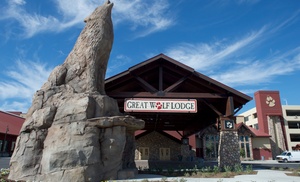 Great Wolf Lodge Waterpark Hotel