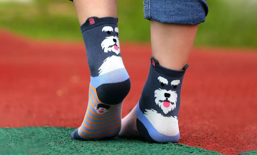 Image 7: 1, 5 ou 10 paires de chaussettes colorées à motifs chiens