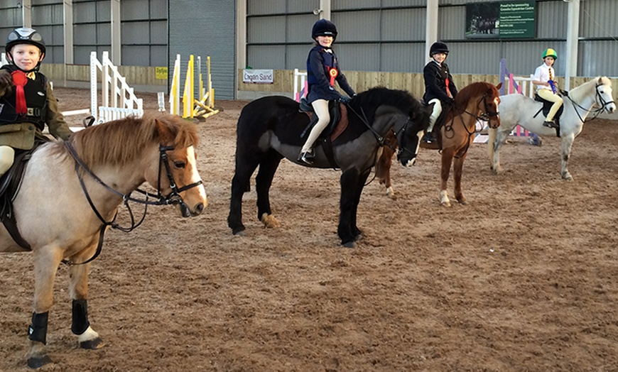 Image 4: 30-Minute Riding Lesson