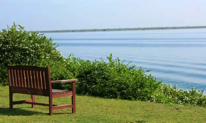 Spa Day with Treatments