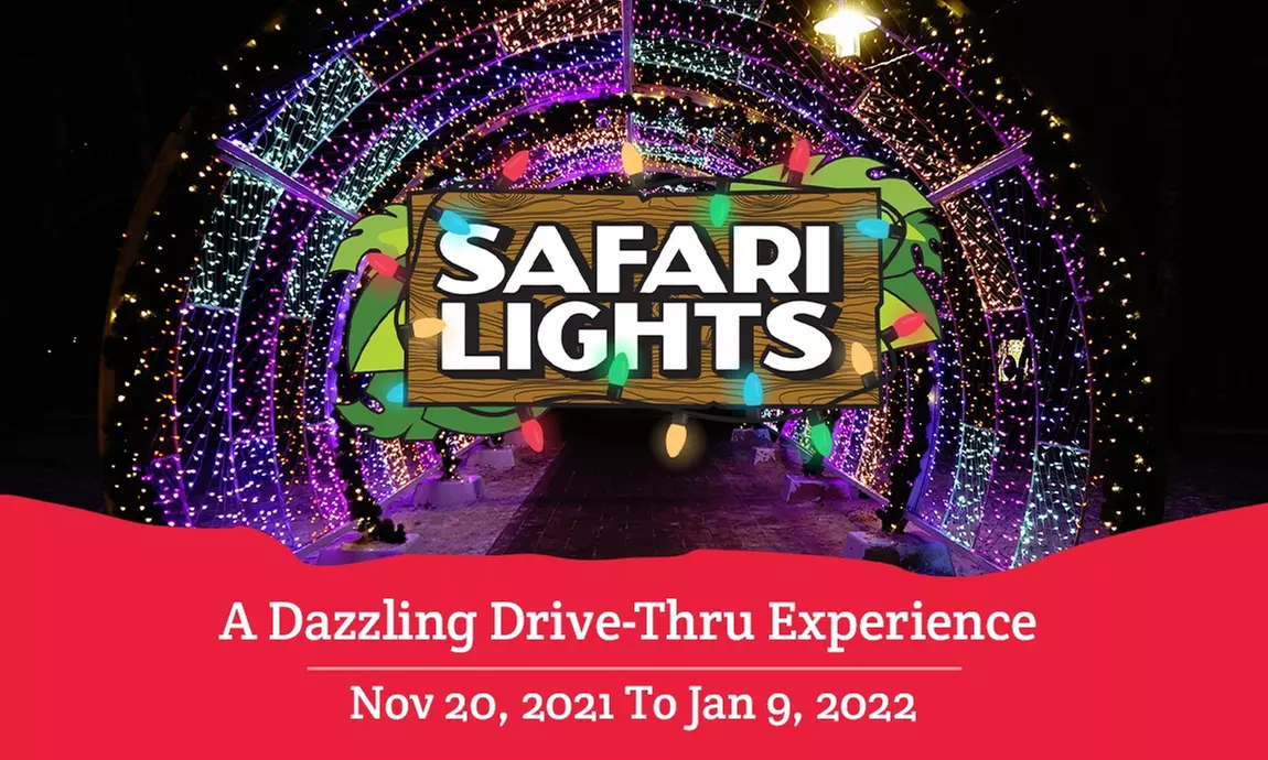 Holiday Special: Drive-Thru Admission to Safari Lights at Safari Niagara- Save $10 on Select Days - Primary Image