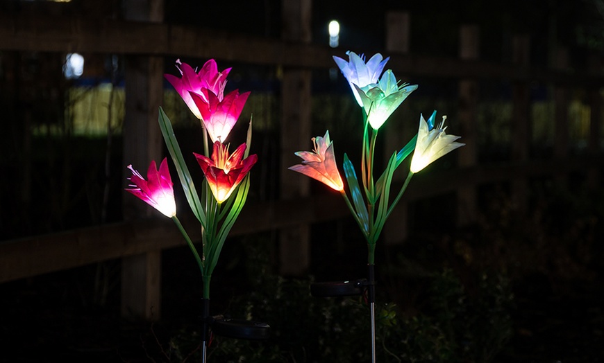 Image 1: Two-, Four- or Six-Pack of Solar Lily Flower Lights