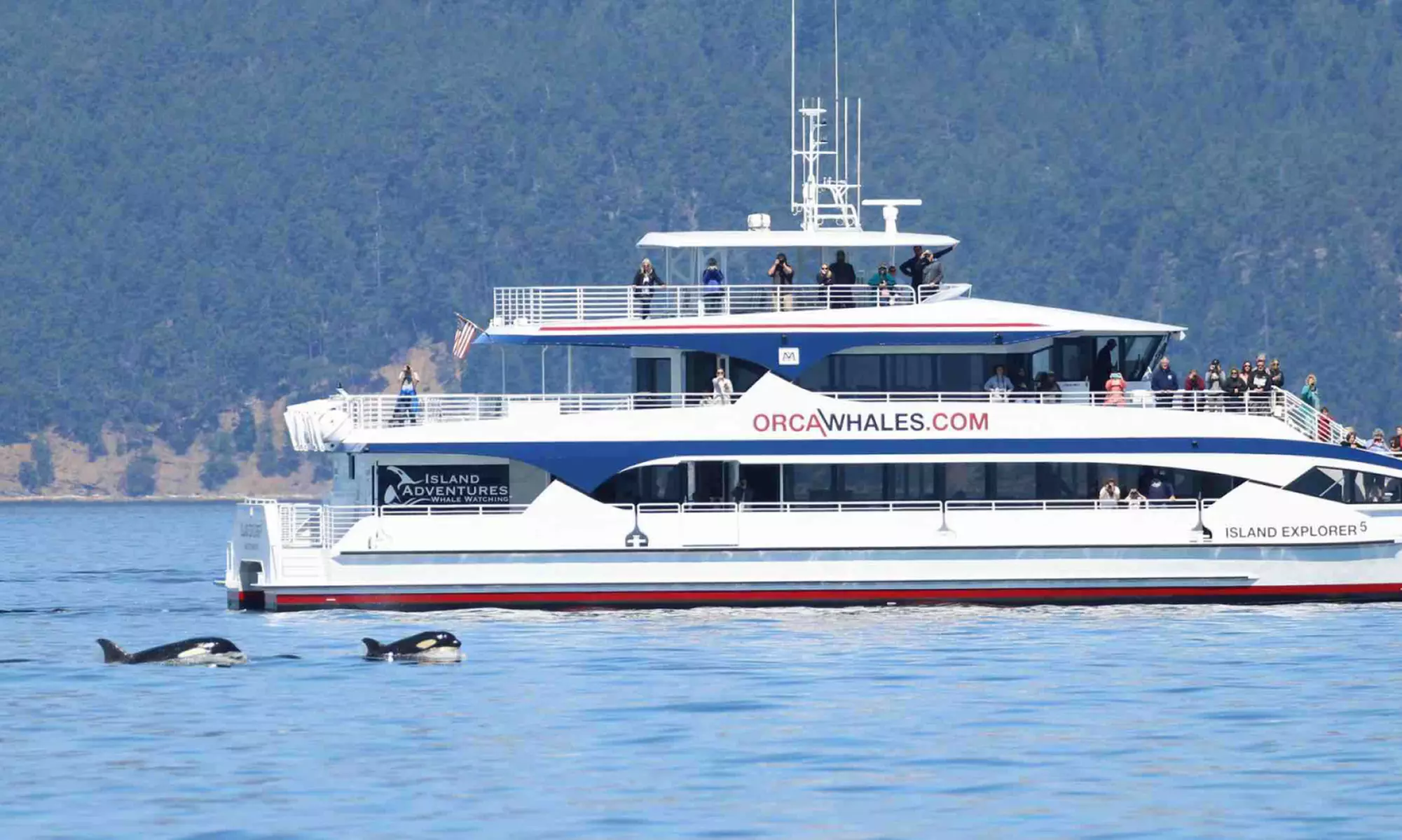$89 for Anacortes Whale and Wildlife Tour, Valid Until May 31   from Island Adventures ($109 Value) - Primary Image