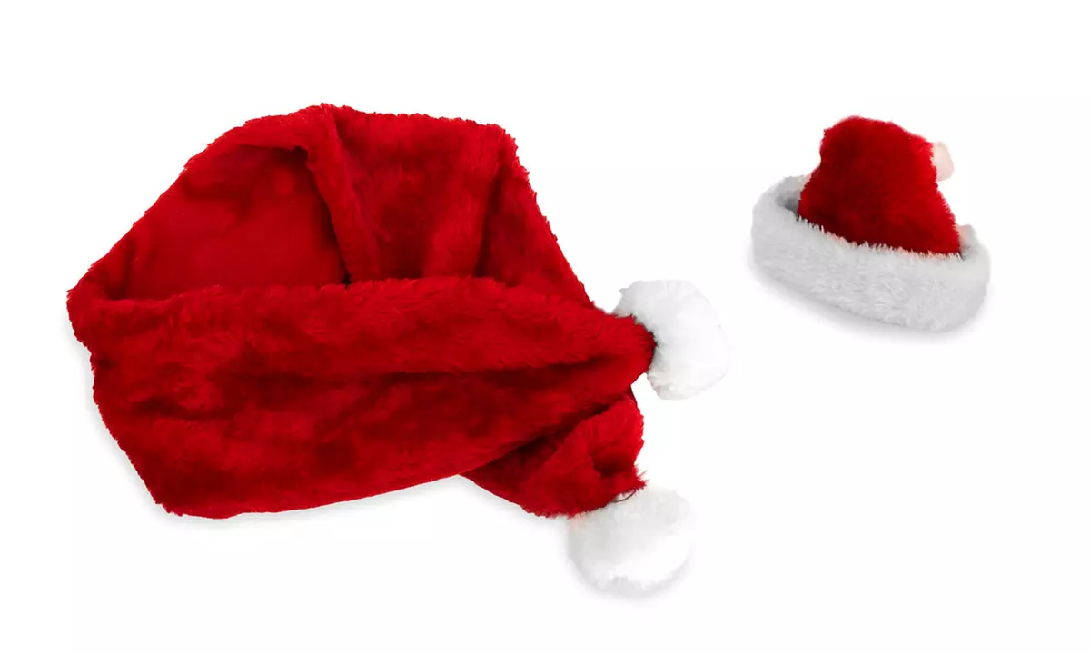 Vêtements de Père Noël pour chien de petite taille - Second Medium