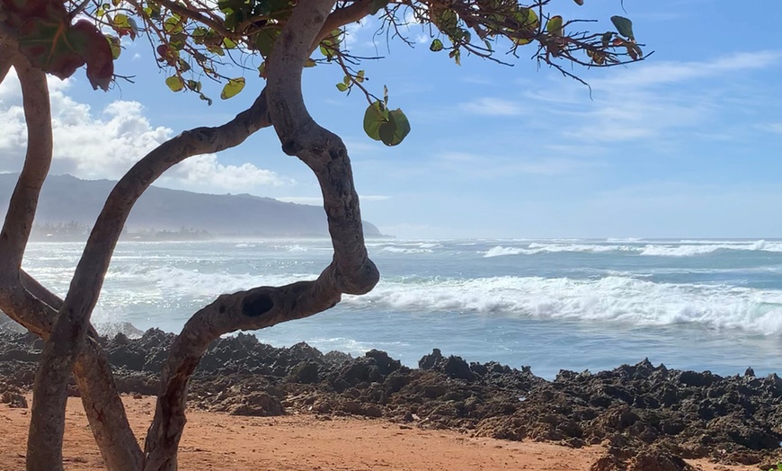 Image 5: Guided Oahu Tours – North Shore & Island Exploration for Two