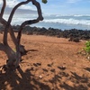 Image 5: Guided Oahu Tours – North Shore & Island Exploration for Two
