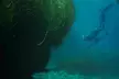 Up to 36% Off on Spearfishing at Just Get Wet
 - Second Medium