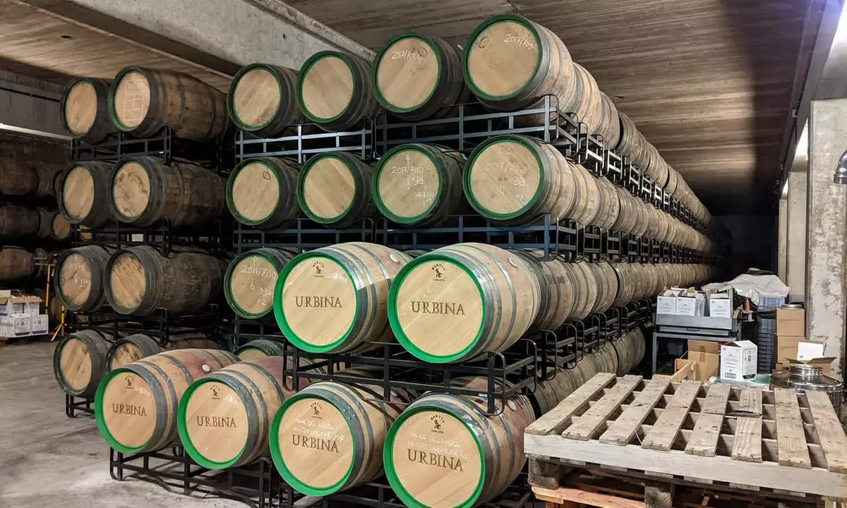 Visita guiada a la bodega y cata de vinos en Bodegas Urbina