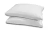 White Goose Feather Compartment Pillow (2-Pack)