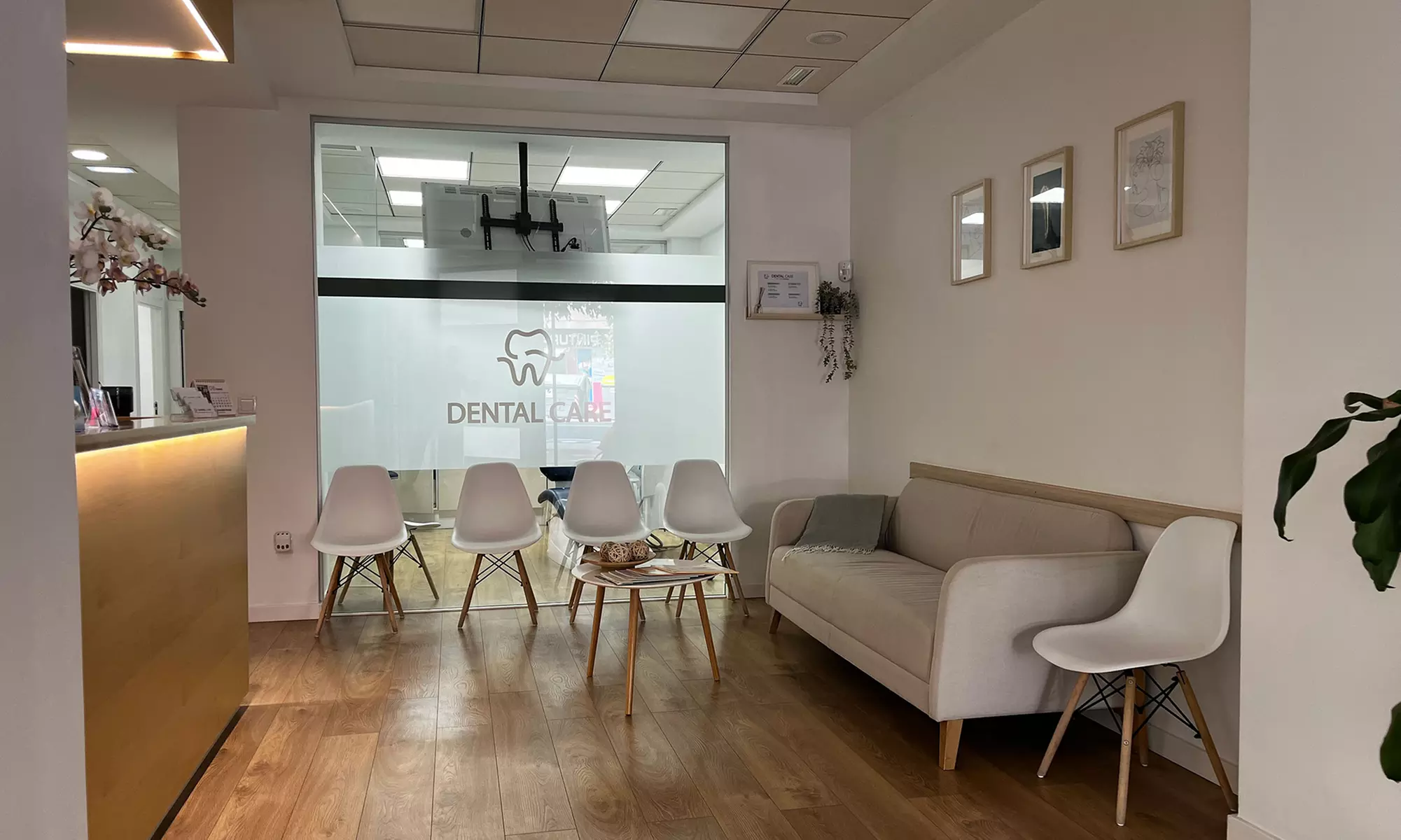 Recupera tu sonrisa: limpieza bucal con ultrasonido, revisión y pulido