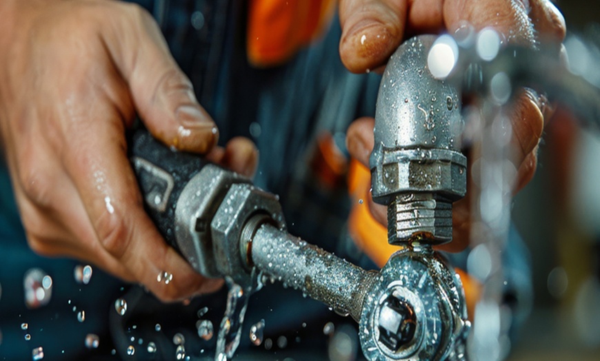 Image 1: Get a Water-Heater Tune-Up, Flush and 14-Point Inspection