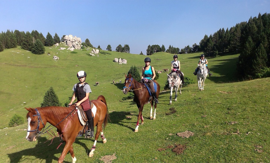 Image 1: Ruta a caballo para 1 o 2 personas en Hípica Vilaformiu