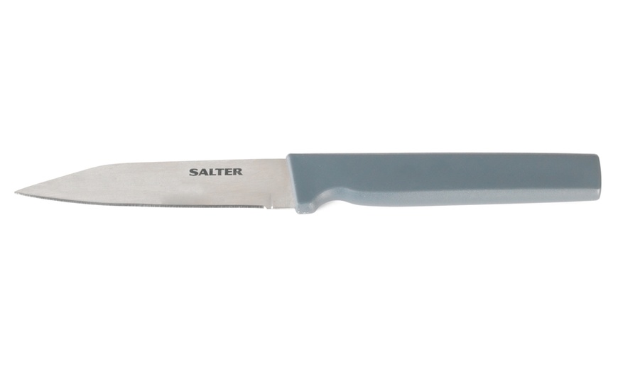 Image 12: 14-Piece Salter Knife Set